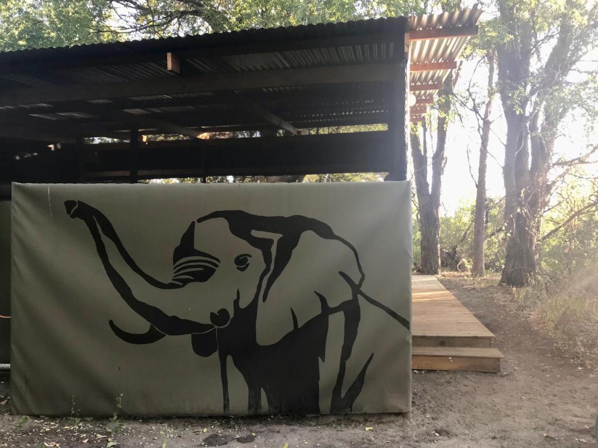 Phazama Farm Villa Maun Eksteriør billede