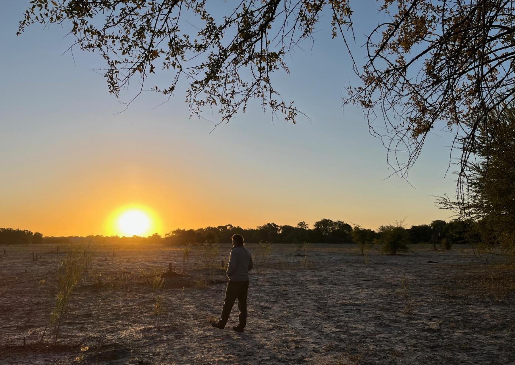 Phazama Farm Villa Maun Eksteriør billede