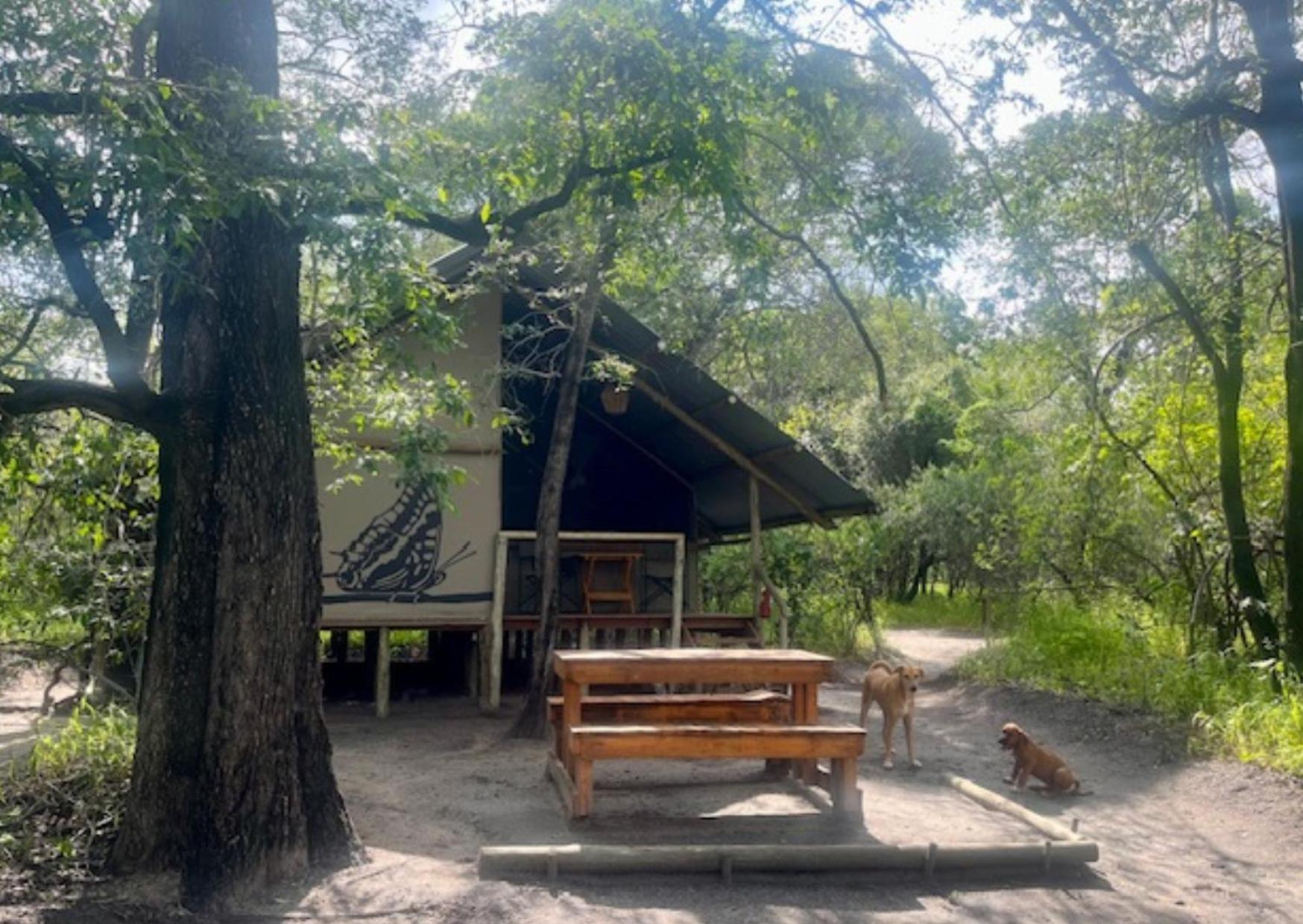Phazama Farm Villa Maun Eksteriør billede
