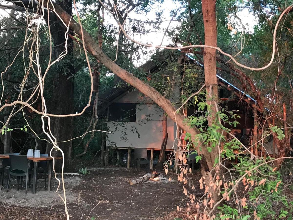 Phazama Farm Villa Maun Eksteriør billede